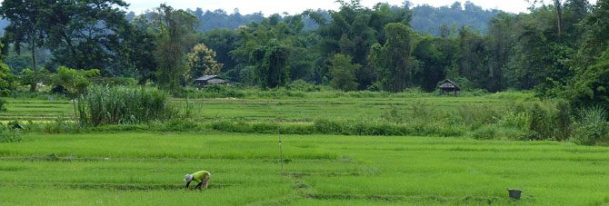 beautiful-chiang-mai